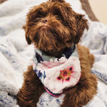 Eden Dog Bandana | Pink Papyrus