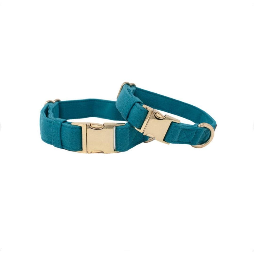 Boy Dog Collars