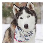 Marlowe Dog Bandana | Pink Papyrus