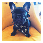 Alex Dog Bandana | Pink Papyrus