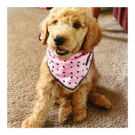 Mimi Dog Bandana | Pink Papyrus