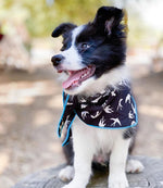 Alex Dog Bandana | Pink Papyrus