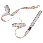 Isabella Dog Leash | Pink Papyrus