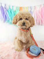 Ainsley Vegan Leather Dog Leash | Pink Papyrus