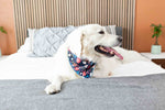 Riley Dog Bandana | Pink Papyrus