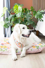 Penelope Dog Bandana | Pink Papyrus
