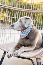 Tillie Dog Bandana | Pink Papyrus