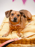 Lola Vegan Leather Dog Leash | Pink Papyrus