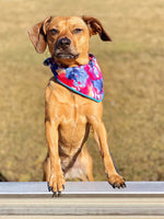 Koko Dog Bandana | Pink Papyrus