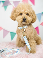 Drew Dog Leash | Pink Papyrus
