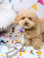 Avery Dog Leash | Pink Papyrus