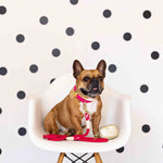 Karla Rope Dog Leash | Pink Papyrus