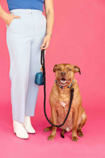 Stella Rope Dog Leash | Pink Papyrus