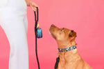 Riley Dog Collar | Pink Papyrus