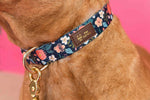 Riley Dog Collar | Pink Papyrus