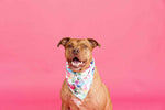 Delilah Dog Bandana | Pink Papyrus