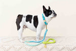 Hayden Dog Collar | Pink Papyrus