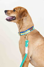 Milo Dog Collar | Pink Papyrus