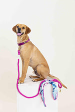Bree Rope Dog Leash | Pink Papyrus
