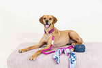 Eden Dog Bandana | Pink Papyrus