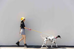 Marley Rope Dog Leash | Pink Papyrus