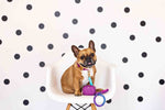 Pixie Rope Dog Leash | Pink Papyrus