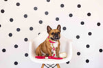 Aria Waste Bag Holder & Treat Pouch | Pink Papyrus