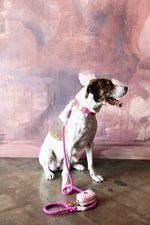 Christine Rope Dog Leash | Pink Papyrus