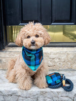 Frances Dog Bandana | Pink Papyrus
