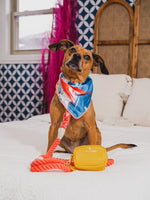 Reese Dog Bandana | Pink Papyrus