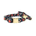 Riley Dog Collar | Pink Papyrus