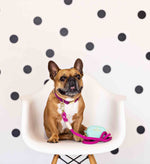 Bree Rope Dog Leash | Pink Papyrus