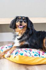 Yesenia Dog Bed | Pink Papyrus