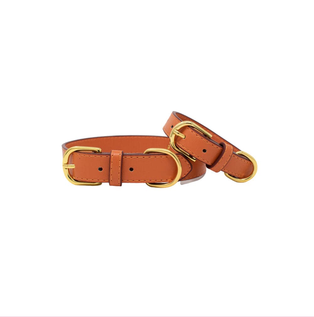 Vegan Leather Leashes & Collars