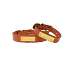 Ainsley Dog Collar | Pink Papyrus