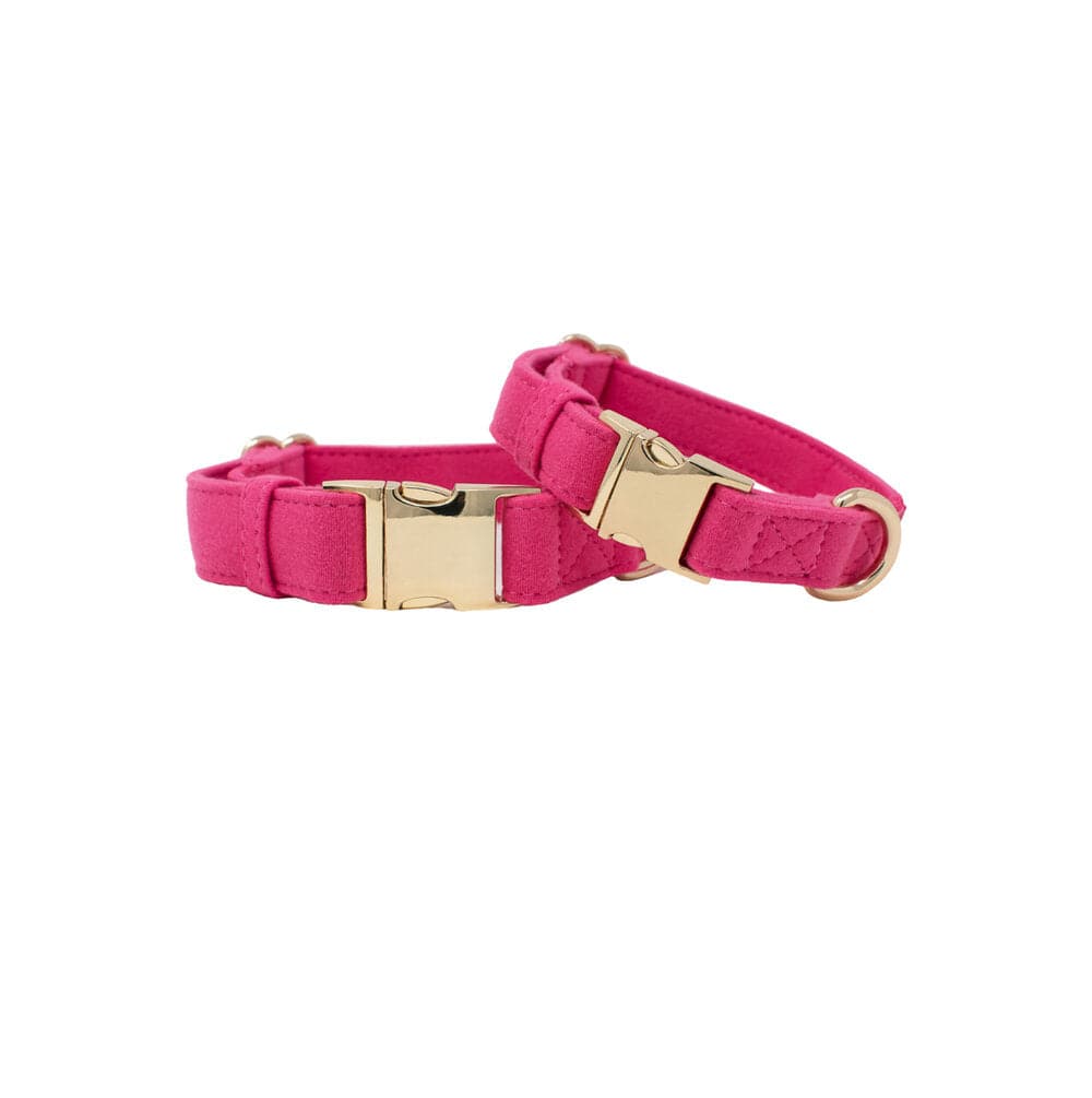 Designer Dog Collars