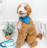Marlowe Dog Bandana | Pink Papyrus