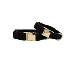 Ryan Dog Collar | Pink Papyrus