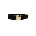 Ryan Dog Collar | Pink Papyrus